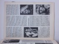 Československá fotografie 1-12 (1983) ročník XXXIV. - chybí č. 1, 4, 12, 9 čísel
