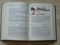 Zapletal - Velká encyklopedie her - Hry na hřišti a v tělocvičně (1987)