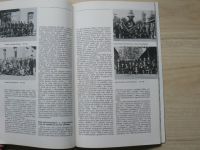 Důl Julius Fučík, závod 3 v Ostravě Radvanicích - Historie dolu Ludvík 1898 -14988
