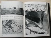 Tůma - Velký obrazový atlas dopravy (1980)