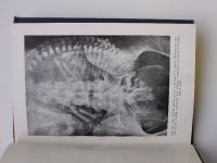 Gála - Nauka o mateřství - Mateřství pravidelné - 159 obrázků a 5 grafů (1942)