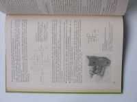 Lehrbuch für die Berufsbildung - Müller, Reich - Werkzeugmaschinen des Fertigungsmittelbaus (1984)