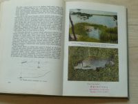 Šimek - Rybářství na tekoucích vodách (SZN 1954)