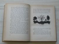 Bonsels - Na lesním paloučku - Pohádka o květinách, zvířatech a bohu. (1923)