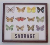 Sabrage - Sbírka motýlů (2016)