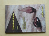Výkladový slovník z oborů keramiky, žárovzdorných materiálů, skla a maltovin (2002)