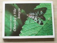 Obrtel - Obrázky z říše hmyzu (1993)