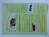Včelařství 1-12 (2016) ročník LXIX. (chybí č. 1, 2, 4, 5 - 8 čísel)