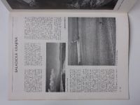 Výtvarníctvo, fotografia, film 1-12 (1984) ročník XXII. - slovensky (chybí č. 12 - 11 čísel)