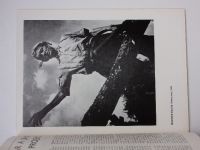 Výtvarníctvo, fotografia, film 1-12 (1985) ročník XXIII. - slovensky (chybí č. 6 - 11 čísel)