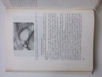 Urban - Stomatologie - Učebnice pro lékařské fakulty (1976)