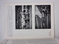 Výtvarníctvo, fotografia, film 1-12 (1986) ročník XXIV. - slovensky (chybí č. 11 - 11 čísel)