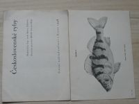 Dyková, Dyk - Československé ryby (1948)