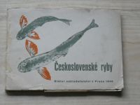 Dyková, Dyk - Československé ryby (1948)