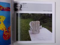 Intersalon AJV 2009 - XIII. ročník mezinárodní přehlídky výtvarného umění dneška - katalog