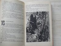 Chata v Jezerní kotlině - kniha podivuhodných příhod a Velikého přátelství