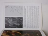 Poklady výtvarného umění - Tizianův odkaz - obraz Apollo a Marsyas - Potrestání Marsya (1996)