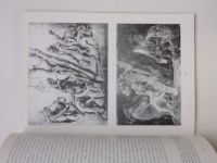 Poklady výtvarného umění - Tizianův odkaz - obraz Apollo a Marsyas - Potrestání Marsya (1996)