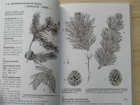 Fér, Alexandr - Rozlišovací znaky dřevin (stromových taxonů) 2006