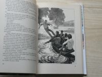 Janka - Příběhy psané pádlem na řece (Leprez 2000, KTO 29)