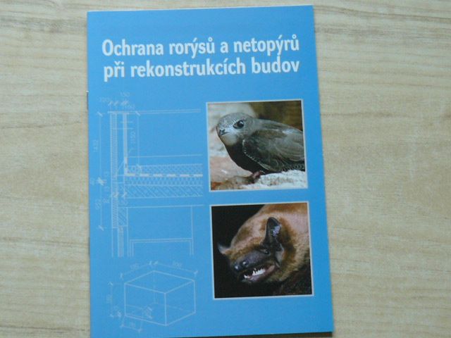 Ochrana rorýsů a netopýrů při rekonstrukcích budov (2008)