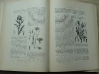 Atlas rostlin - 80 tabulí barvotiskových, na kterých jest vyobrazeno 459 druhů rostlin u nás divoce rostoucích nebo pěstovaných.