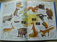 Taylorová - Obrazový atlas živočichů (1994)