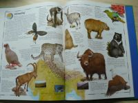 Taylorová - Obrazový atlas živočichů (1994)