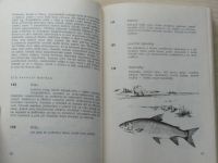 J. Říha - 1000 + 1 rada pro rybáře (1978)