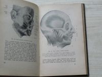 MUDr. Navara - Úvod do anatomie (1931)