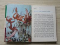 Flora Olomouc ´67 - Katalog výstavy