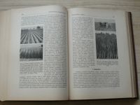 Velká encyklopedie zemědělská II/3 - Výživa a hnojení kulturních plodin zemědělských