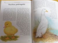 Evžen Kůs - Domácí zvířata - Mláďata doma i na dvorku (1994)