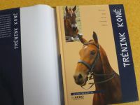 Janine Verschure - Trénink koně (2004)