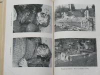 Ploština v plamenech - Dějiny partyzánské brigády Jana Žižky (1948)