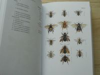Pokorný, Šifner - Atlas hmyzu (2004)