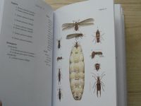 Pokorný, Šifner - Atlas hmyzu (2004)