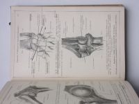 Toldt, Hochstetter - Anatomischer Atlas - Band 1 (1937) anatomický atlas, pouze 1. díl - německy