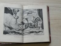 Berg - Dobrodružství lovce nosorožců (1937) il. Wowk