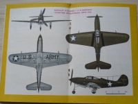 Typy broni i uzbrojenia 85 - Samolot myšlivski P-39 Airacobra