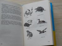 Pokorný - Rybárska teória pre mládež (1982) slovensky