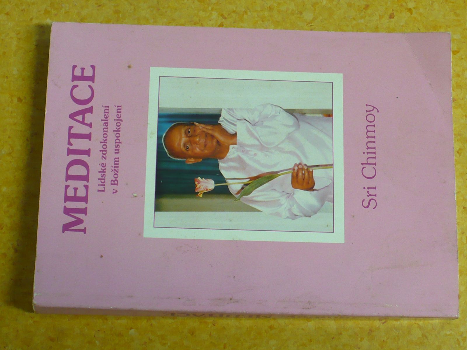 Sri Chinmoy - Meditace - Lidské zdokonalení v Božím uspokojení (1994)