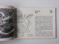 Štursa - Prameny Labe - Průvodce přírodovědnou naučnou stezkou (1977) vícejazyčně