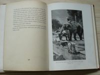 Mukerdži - Můj slon Kárí (Vilímek) il. Z. Burian