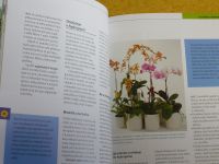 Pinske - Orchideje - Nejkrásnější druhy a hybridy - výběr - pěstování (2009)