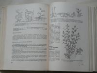 Tisíc dobrých rad mladým ovocnářům, květinářům, zelinářům, pěstitelům (1960)