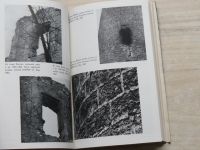 Mencl a kol. - Výtvarný vývoj středověkých omítek (1968)