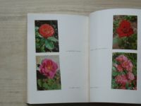 Katalog růží - Botanická zahrada - Rozárium - Flora Olomouc (1982)