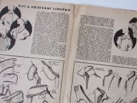 Příručka časopisu Žena + móda 4/1958 - Učíme se šít, spravovat a přešívat