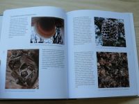 Bezděčka, Kovařík, Machar, Poprach - Utajení obyvatelé sakrálních památek v historickém území Arcidiecéze olomoucké - Kritický katalog výstavy (2019)